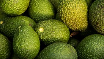 Keep These Foods Away From Your Pets!
