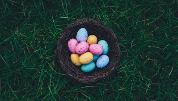 Are Easter Eggs Safe For Dogs?