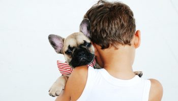 Best Dogs For Kids